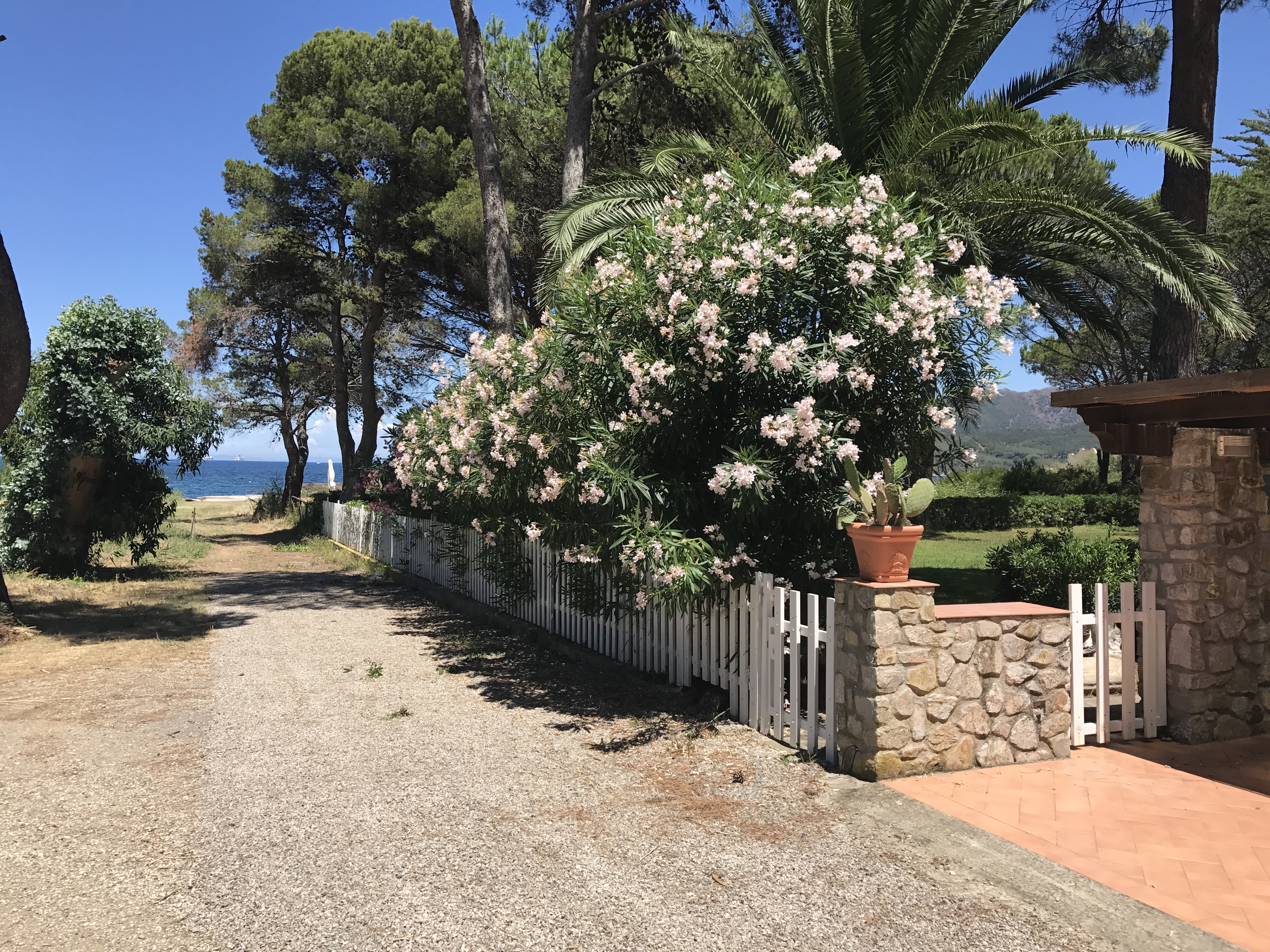 Villa mit Garten mit Blick auf das Meer - Insel Elba