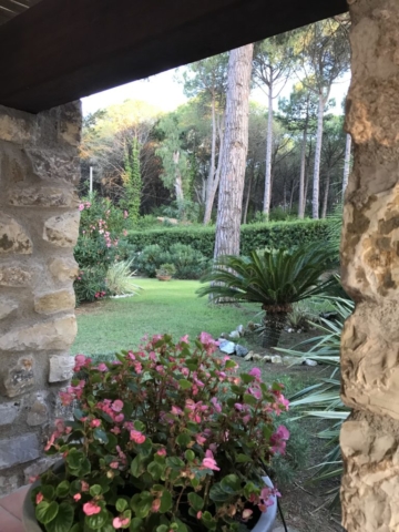 Villa mit Meerblick - Insel Elba