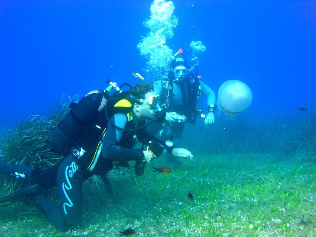 Scuba Diving Elba