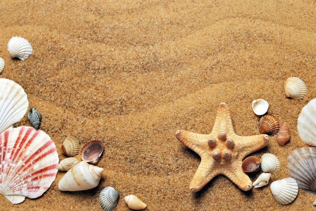 sea