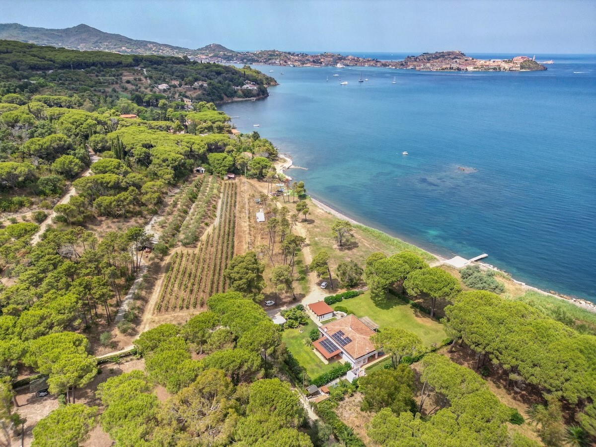 Villa Elbella sul Golfo di Portoferraio Villa Elbella tra pineta e mare con vista sul Golfo di Portoferraio